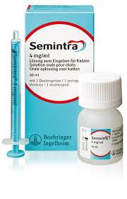 Semintra chat 30ml (BOEHRINGER)