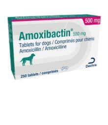 Amoxibactin 500mg 250cp (DECHRA)