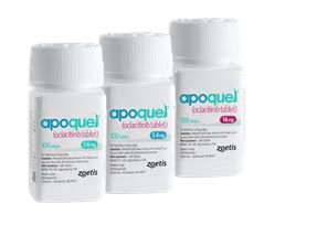 Apoquel 16mg 20cp (ZOETIS)