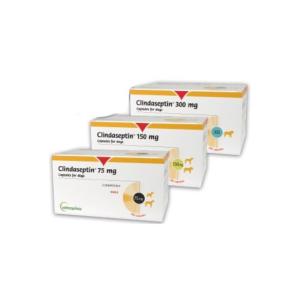 Clindaseptin 300mg 100 gélules (VETOQUINOL)