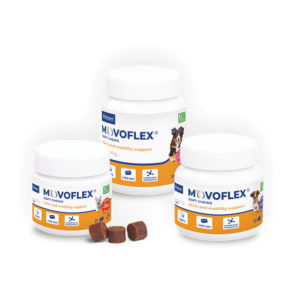 Movoflex chien L 30x6g (VIRBAC)