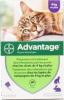 advantage chat 80 4 pipettes (BAYER)