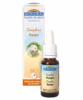 voyage 20ml (BIOFLORAL)