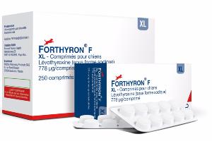 Forthyron F M 50cp (DECHRA)