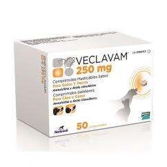 Veclavam 250mg 20cp (MERIAL)