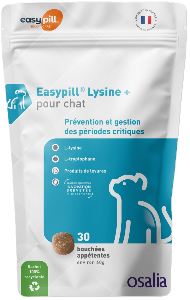 Easypill lysine + 30x2g (VETOQUINOL)