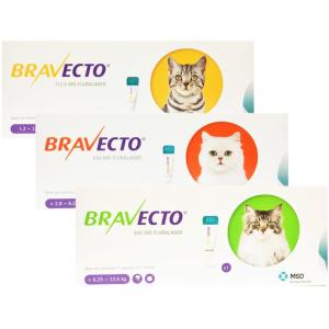 Bravecto spot chat 250mg 1p (MSD)