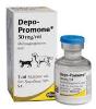 Depo-promone 5ml (ZOETIS)