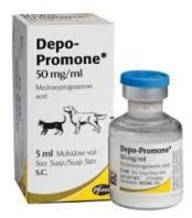 Depo-promone 5ml (ZOETIS)