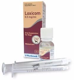 Loxicom chien 1.5mg 100ml (BAYER)