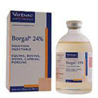 Borgal inj. 50ml (VIRBAC)