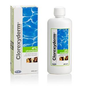 Clorexyderm 4% shampoing 250ml (MP LABO)