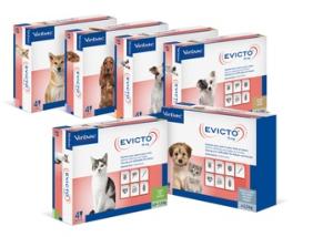 Evicto 15mg chien chat 4p. (VIRBAC)