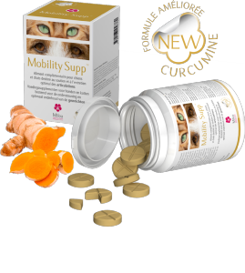 mobility supp 60cp (MILOA)