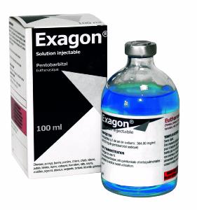 Exagon 100ml (AXIENCE)