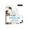 Collier Merlin petit moyen chien (DECHRA)