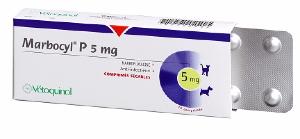 Marbocyl P 5mg 10cp (VETOQUINOL)