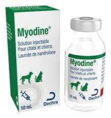 myodine inj 10ml (DECHRA)