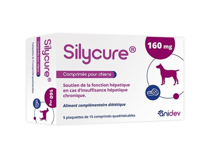 silycure 160mg 75cp (ANIDEV)