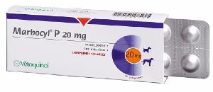 Marbocyl P 20mg 100cp (VETOQUINOL)