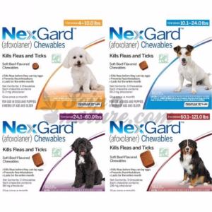 Nexgard 68mg 6cp (MERIAL)