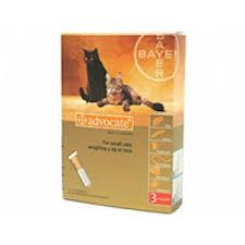 advocate petit chat&furet 21p (BAYER)