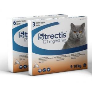 Strectis chat 5 -10kg 6pipettes (CEVA)