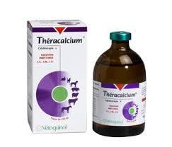 theracalcium 250ml (MSD)