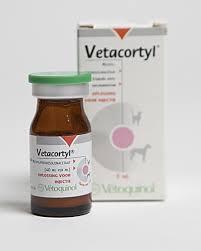 Vetacortyl 180mg 5ml (VETOQUINOL)