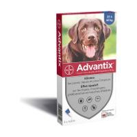 advantix grand chien 4 pipettes (BAYER)