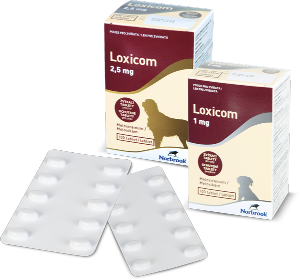 Loxicom 1mg 100cp (BAYER)