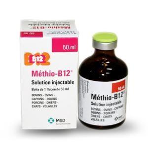Methio B12 50ml (MSD)