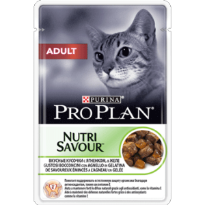 proplan cat adulte agneau gelée sachet 85g x10 (PURINA)